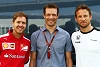 Foto zur News: Alex Wurz stellt klar: GPDA-Statement war lange geplant