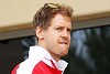 Foto zur News: Motoren, Reifen, Gewicht: Vettel über aktuell größte