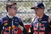 Foto zur News: Keine Angst ums Cockpit: Kwjat stichelt gegen Verstappen