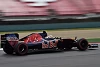 Foto zur News: Top-10-Zeiten: Toro Rosso wehrt sich gegen Motorenschwäche