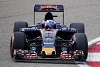 Foto zur News: Toro Rosso: Beide Autos in Q3, aber nur bedingt zufrieden