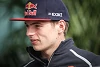 Foto zur News: Coulthard: Max Verstappen ist ein potenzieller Weltmeister