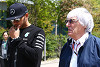 Foto zur News: Ecclestone kritisiert Hamilton: Soll weniger jammern!