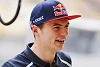 Foto zur News: Max Verstappen vor Red-Bull-Premiere: &quot;Nicht mehr Druck&quot;