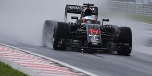 Foto zur News: McLaren nach Ungarn-Erfolg pessimistisch: &quot;Keine Illusionen&quot;
