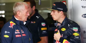 Foto zur News: Zu hoher Reifenverschleiß: Marko kritisiert Verstappen