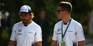 Foto zur News: Vandoorne gespannt auf Teamduell: Alonso &quot;liefert immer ab&quot;