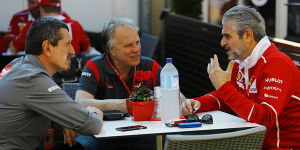 Foto zur News: Steiner: Ferrari-Motor ist mindestens so gut wie Mercedes