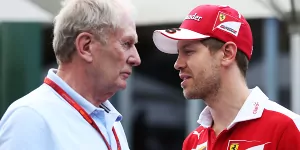 Foto zur News: Marko: Sebastian Vettel braucht die Karotte vor der Nase