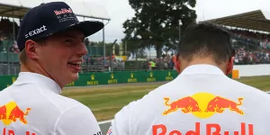 Foto zur News: Max Verstappen: Noch ein Gespräch mit Daniel Ricciardo?