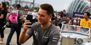 Foto zur News: Stoffel Vandoorne: &quot;McLaren-Renault gut für die Formel 1&quot;