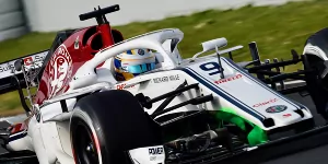 Foto zur News: Fotostrecke: Die Halo-Lösungen der Formel-1-Teams 2018