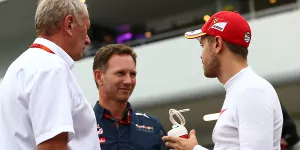 Foto zur News: Red Bull 2019: Wer kommt, wenn Daniel Ricciardo geht?