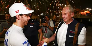 Foto zur News: Tänzchen bei Toro Rosso: Pierre Gasly jetzt ein &quot;richtiger