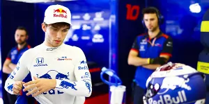 Foto zur News: Begeisterter Gamer: Gasly zockt viel - aber nicht gegen Ocon