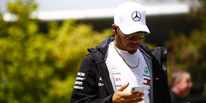 Foto zur News: Hill: Endet mit der Mercedes-Dominanz Hamiltons Interesse?