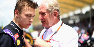 Foto zur News: Marko: Kwjat war &quot;phasenweise schneller&quot; als Ricciardo
