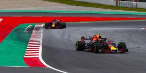 Foto zur News: Stunk bei Red Bull: Ricciardo meckert, Verstappen ist im