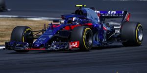 Foto zur News: Horner: Toro Rosso soll nicht Versuchskaninchen spielen