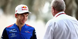 Foto zur News: Red Bull: Gasly muss bis Mitte 2019 auf Ricciardo-Niveau