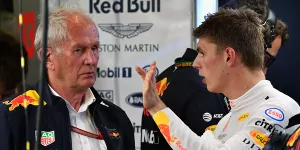 Foto zur News: Max Verstappen: Werden 2019 keine Titelkandidaten sein