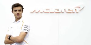 Foto zur News: McLaren: Norris wäre sonst bei Toro Rosso gelandet