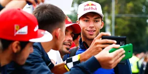 Foto zur News: Gasly: Leute sehen mich schon als nächsten Red-Bull-Fahrer