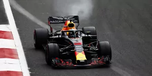 Foto zur News: &quot;Hilfloser&quot; Ricciardo hat endgültig genug von Red Bull: