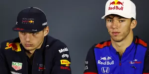 Foto zur News: Gasly vs. Verstappen: Red Bull warnt vor Vergleichen