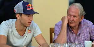 Foto zur News: Di Resta warnt Pierre Gasly: &quot;Helmut Marko ist ziemlich