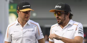 Foto zur News: 19:0: Alonso vor Durchmarsch im Quali-Duell gegen Vandoorne