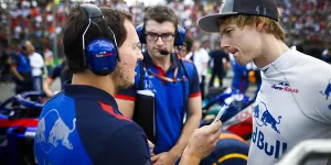 Foto zur News: Teamorder sorgt für Querelen bei Toro Rosso: Hartley über