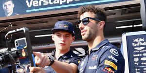 Foto zur News: Verstappen schwärmt von Ricciardo: Gibt &quot;nicht viele&quot; von