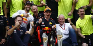 Foto zur News: Horner: Red Bull kann Ricciardo-Verlust dank Max Verstappen