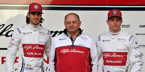 Foto zur News: Alfa Romeo: Erst nach ein paar Rennen wirklich