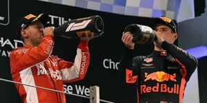 Foto zur News: Ricciardo: Max Verstappen auf einer Runde schneller als