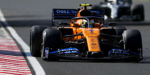 Foto zur News: Rookie Lando Norris von McLaren-Größe beeindruckt