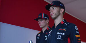 Foto zur News: Analyse: Wer fährt 2020 bei Red Bull #AND# Toro Rosso?