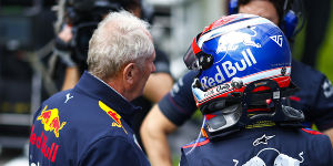 Foto zur News: Pierre Gasly: Warum Red Bull die Meinung geändert hat