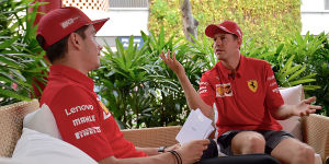 Foto zur News: Leclerc:  &quot;Teamplayer zu sein, zahlt sich am Ende immer aus&quot;