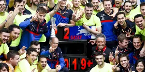 Foto zur News: Toro-Rosso-Teamchef nach Brasilien: &quot;Schlafe jetzt besser!&quot;