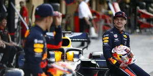 Foto zur News: Alexander Albon: Max Verstappen beschleunigt meinen