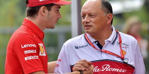 Foto zur News: Alfa-Teamchef Vasseur: Was Leclerc zum &quot;Champion&quot; macht