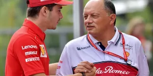 Foto zur News: Alfa-Teamchef Vasseur: Was Leclerc zum &quot;Champion&quot; macht