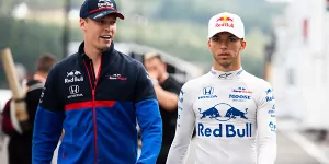 Foto zur News: Helmut Marko: Gasly ist &quot;im Gegensatz zu Kwjat&quot;