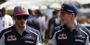 Foto zur News: Helmut Marko bereut Abgang nicht: Carlos Sainz ist &quot;kein