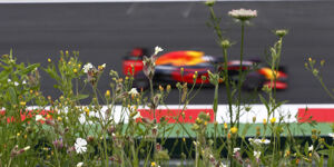 Foto zur News: Formel-1-Liveticker: Red-Bull-Teamchef hält Rennen in