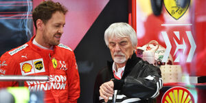 Foto zur News: Ecclestone rät Vettel: &quot;Von Mercedes träumen bringt doch