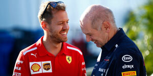 Foto zur News: Villeneuve: Vettel wäre &quot;der perfekte Teamkollege&quot; für
