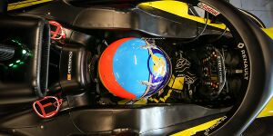 Foto zur News: Fernando Alonso: Möchte 2020 keine Formel-1-Rennen mehr